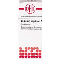 Caladium Seguin C200 null