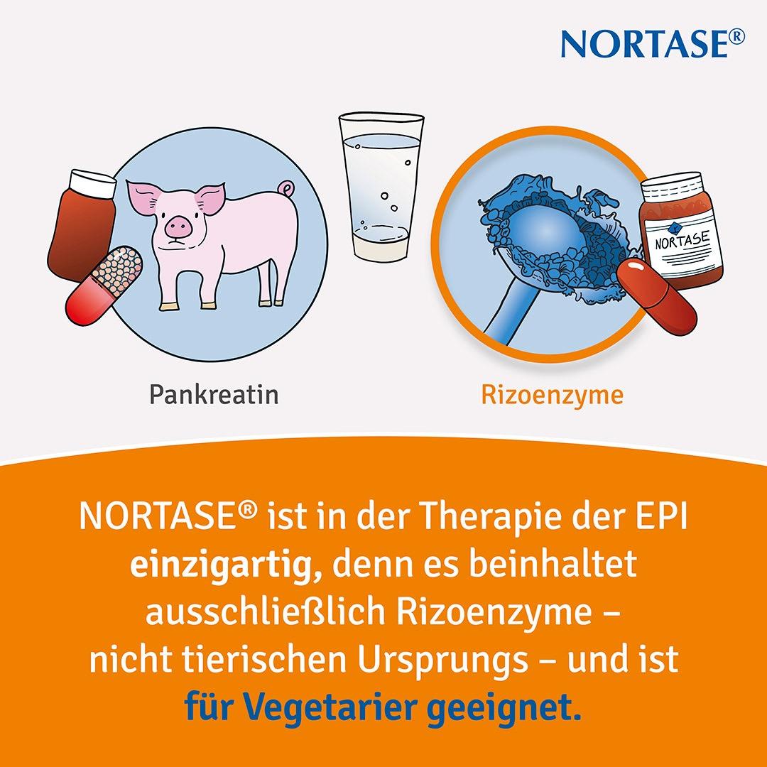 Nortase 100 St REPHA GmbH Biologische Arzneimittel bei onfy.de kaufen 01953707