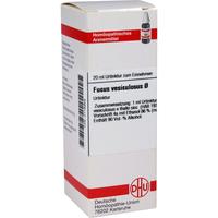 Fucus Vesicul Urt D 1 null