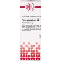 Fucus Vesicul D 4 null