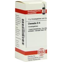 Clematis D 4 null
