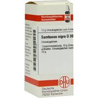 Sambucus Nigra D30 null