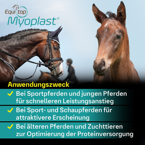 Equitop Myoplast Vet 1.5 kg Boehringer Ingelheim VETMEDICA bei onfy.de kaufen 00714857