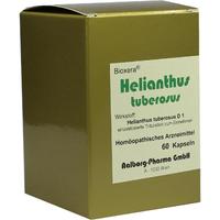 Helianthus Tuberosus null