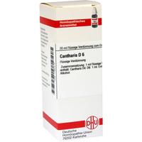 Cantharis D 6 null