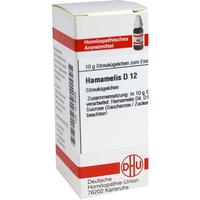 Hamamelis D12 null