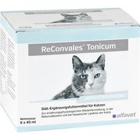 Reconvales Tonicum Katze null