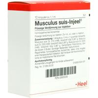 Musculus Suis Inj Org null