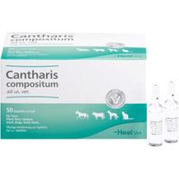 Cantharis Comp Vet null