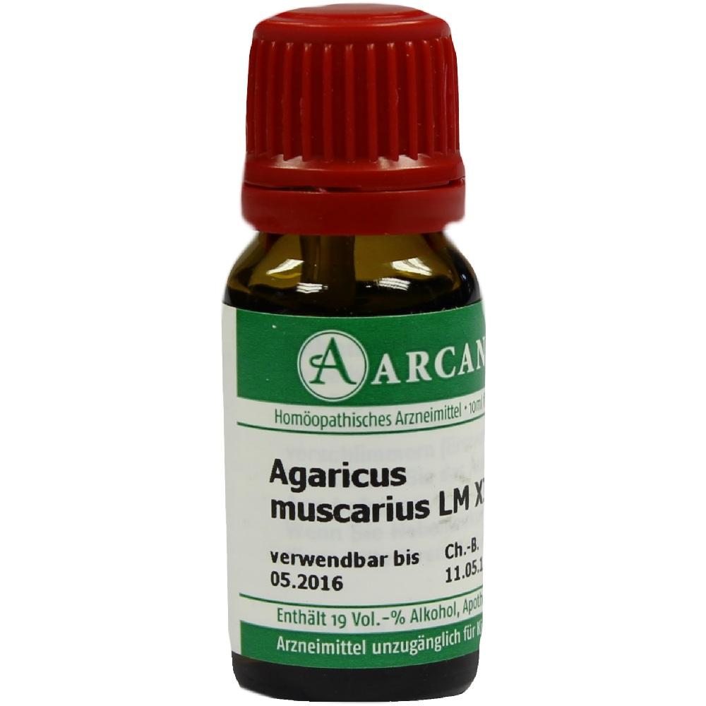 Agaricus Arca Lm 12 null