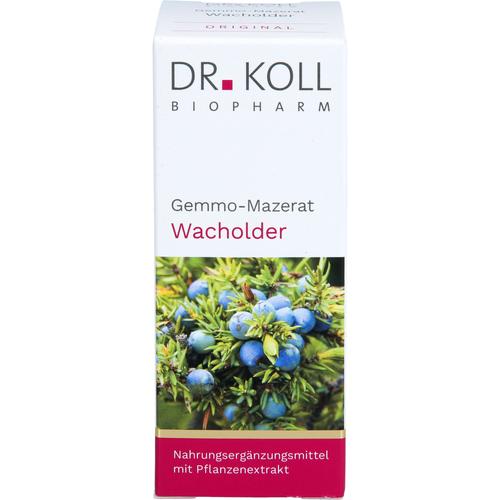 Gemmo Mazerat Wacholder Dr. Koll Juniperus Communi 50 ml Dr. Koll Biopharm bei onfy.de kaufen 20059923