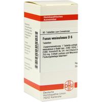 Fucus Vesicul D 6 null