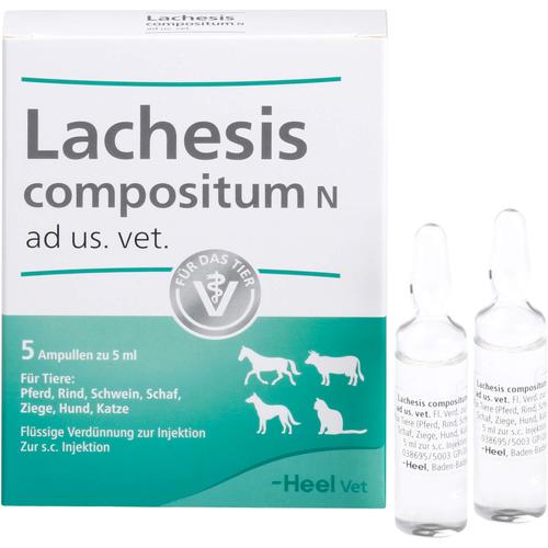 Lachesis Comp N Vet 5 St Biologische Heilmittel Heel Gmbh bei onfy.de kaufen 00052824