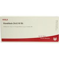 Mandibula (feti) Gl D 5 null