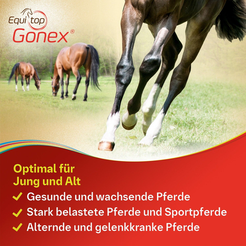 Equitop Gonex Vet 750 g Boehringer Ingelheim VETMEDICA bei onfy.de kaufen 00589748