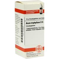 Arum Triph D 6 null