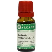 Berberis Vulg. Arca Lm 18 null