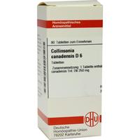 Collinsonia Canad. D 6 null