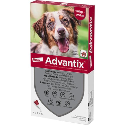 Advantix Spot-On Hund10-25 4 St Elanco Deutschland Gmbh bei onfy.de kaufen 02362606