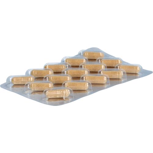Silymarine Mariendistel Leber-Vital-Kapseln 60 St Hansa Naturheilmittel bei onfy.de kaufen 19180507
