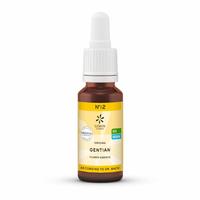 Bachbluete 12 Gentian Bio null