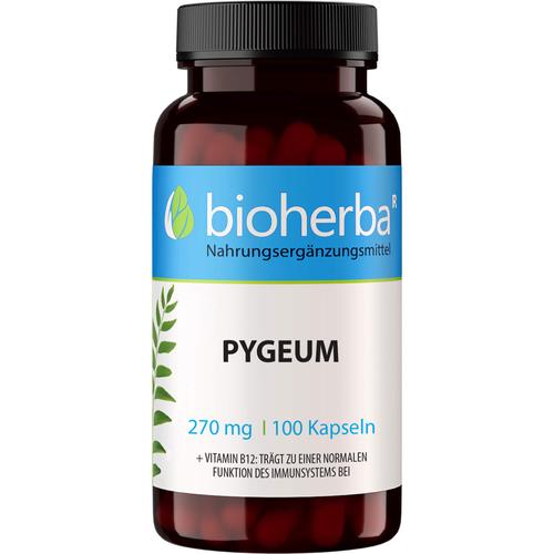 Pygeum 270 mg 100 St Bioherba Reichenbach bei onfy.de kaufen 18216657