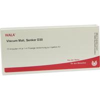 Viscum Mali Senker D30 null