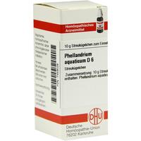 Phellandrium Aquat D 6 null