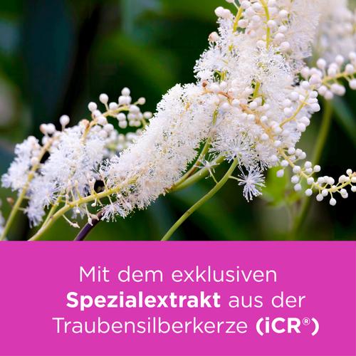 Remifemin mono bei Wechseljahresbeschwerden 90 St MEDICE Arzneimittel Pütter bei onfy.de kaufen 10993278