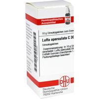 Luffa Opercul C30 null