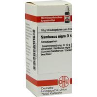 Sambucus Nigra D 4 null