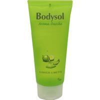 Bodysol Aroma-Duschgel Ginkgo-Limette null