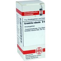 Grindelia Robusta D 6 null
