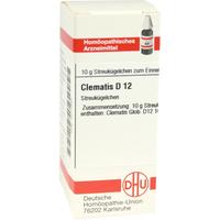 Clematis D12 null
