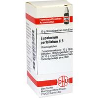 Eupatorium Perf C 6 null