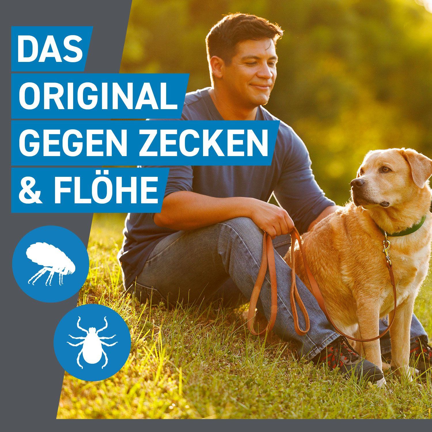 Frontline Spot On H 20 Vet 6 St Boehringer Ingelheim Vetmedica Gmbh bei onfy.de kaufen 02246395