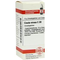 Cicuta Virosa C30 null