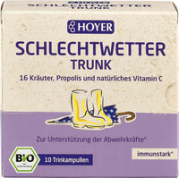 Hoyer Schlechtwetter-Trunk