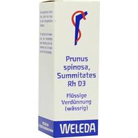 Prunus Spinos Summit Rh D3 null
