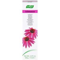 A.vogel Echinacea null