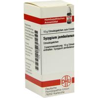 Syzygium Jamb D 6 null