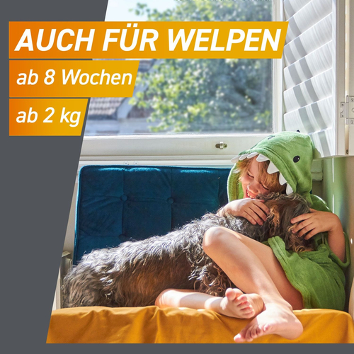 Frontpro Chew Hunde S Vet 3 St Boehringer Ingelheim Vetmedica Gmbh bei onfy.de kaufen 18654280