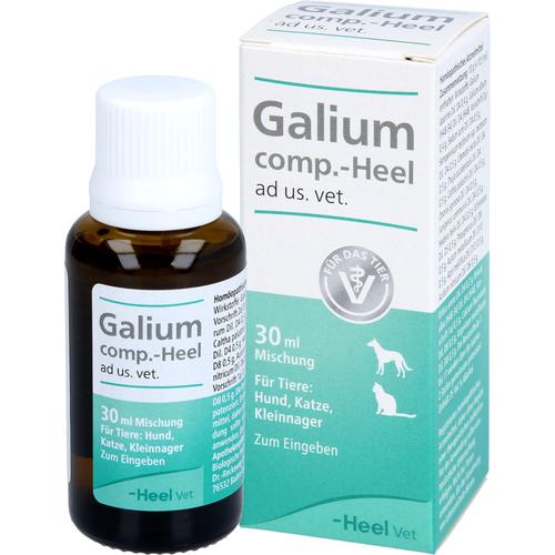 Galium Comp Heel Ad Us Vet 30 ml Biologische Heilmittel Heel Gmbh bei onfy.de kaufen 04658050