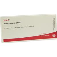 Hippocampus Gl D 5 null