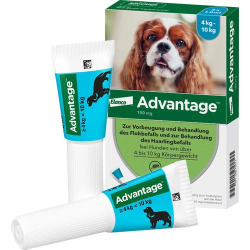 Advantage 100 Hund 4 St Elanco Deutschland Gmbh bei onfy.de kaufen 08613311