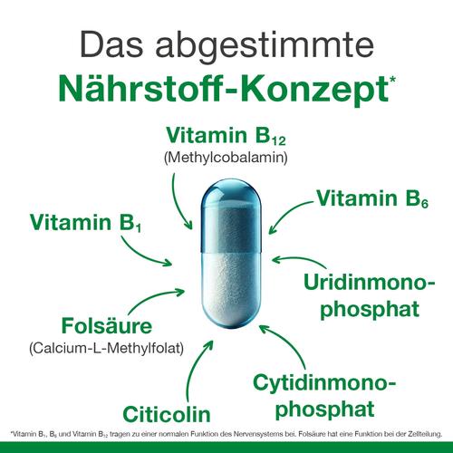 Neurologes Concept 30 St Dr. Loges bei onfy.de kaufen 17308110