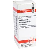 Collinsonia Canadens D 6 null