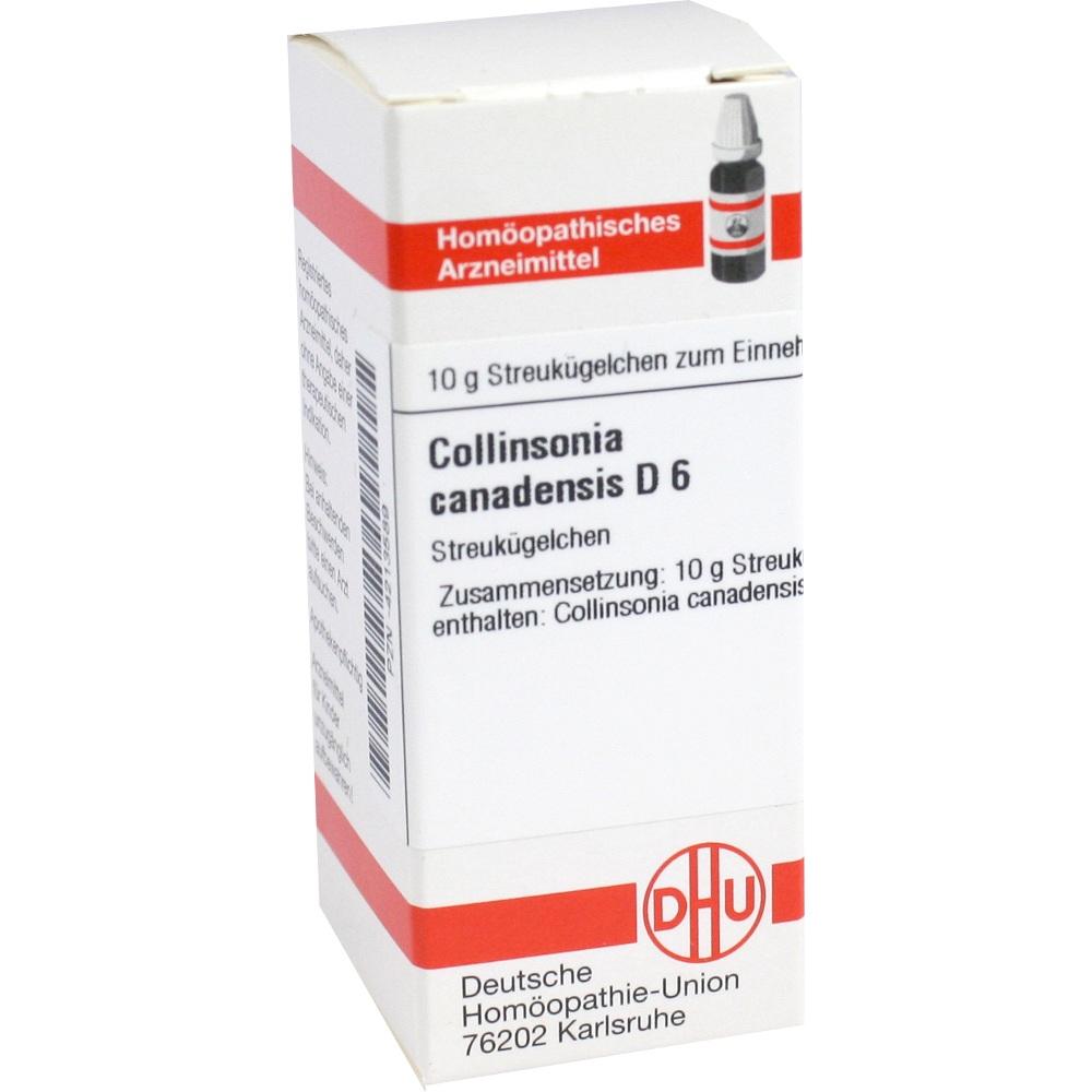 Collinsonia Canadens D 6 null