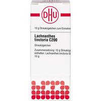 Lachnanthes Tinctoria C200 null