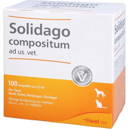 Solidago Comp Ad Us Vet 100 St Biologische Heilmittel Heel Gmbh bei onfy.de kaufen 01224090